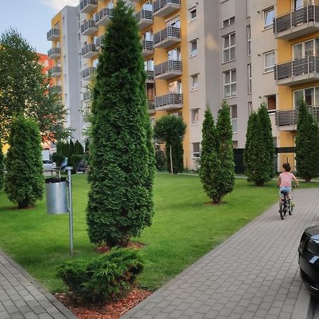 Brasov Kronstadt Garden Studio Exterior foto